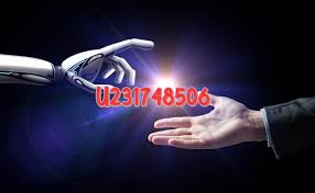 U231748506